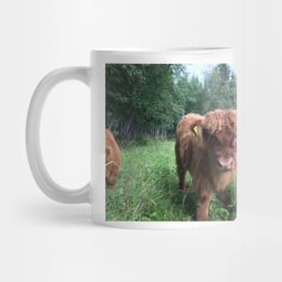 Scottish Highland Cattle Calf 1511 Mug